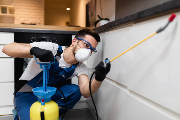 Best Mosquito Control Services  in Macarthur, WV