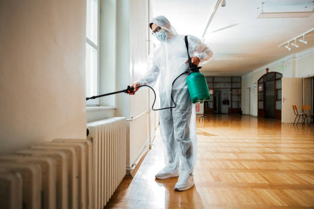 Best Exterminator Services  in Macarthur, WV