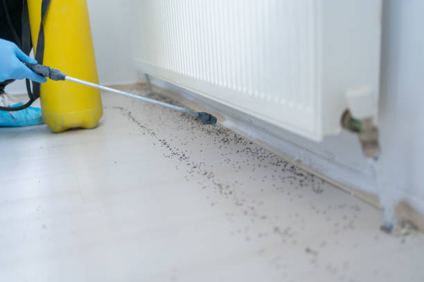 Macarthur, WV Pest Control Company